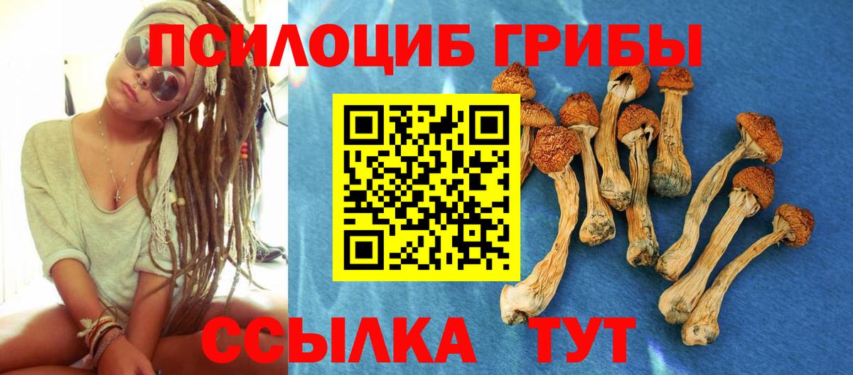 Тара  Галлюциногенные грибы Cubensis  Вход с VPN 
