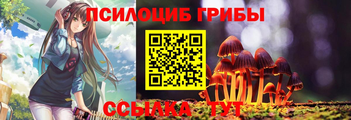 Псилоцибиновые грибы Cubensis Тара